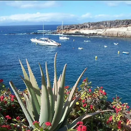 Compostela Beash Family Garden Apartament Playa de las Americas (Tenerife)